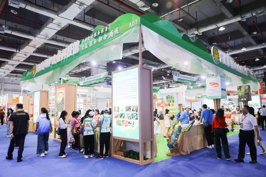 逛寶島風(fēng)情品特色美食看未來科技 東莞臺(tái)博會(huì)11日啟幕