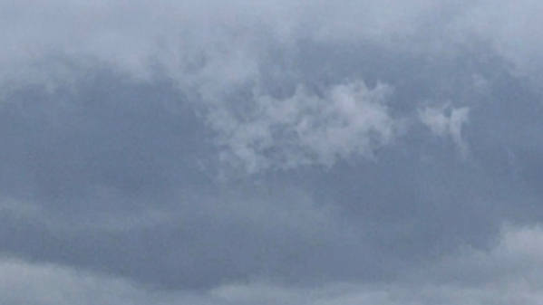 注意！深圳市颱風(fēng)白色預(yù)警信號升級為藍色