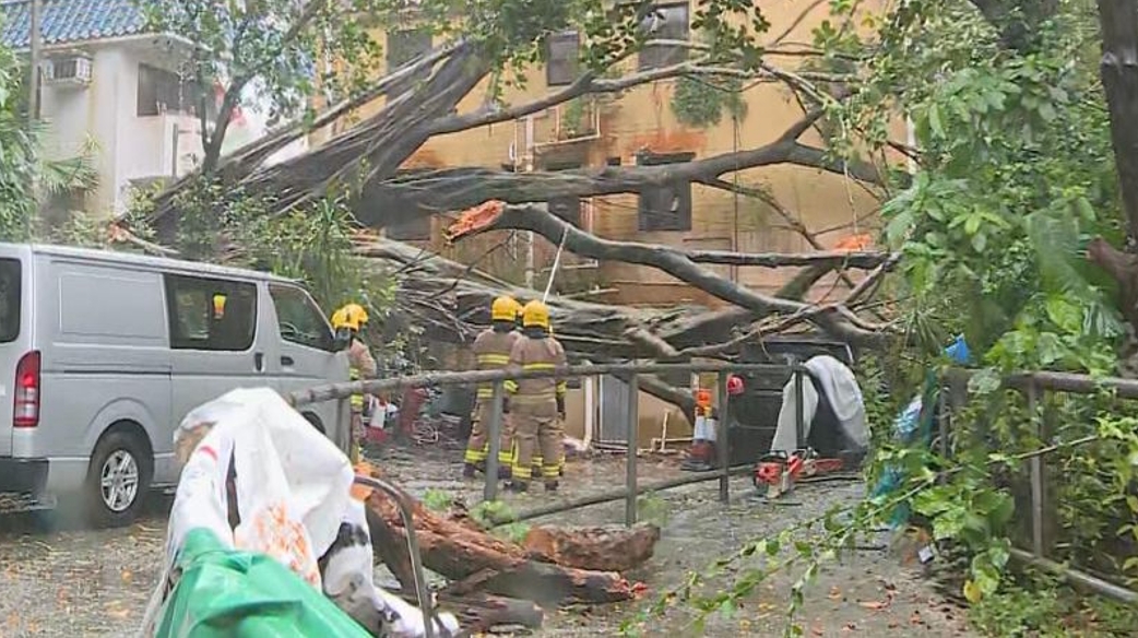 政府暫接162宗塌樹報告及3宗水浸個案 12人風(fēng)暴期間受傷