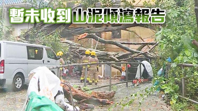 政府暫接162宗塌樹報告及3宗水浸個案 12人風暴期間受傷