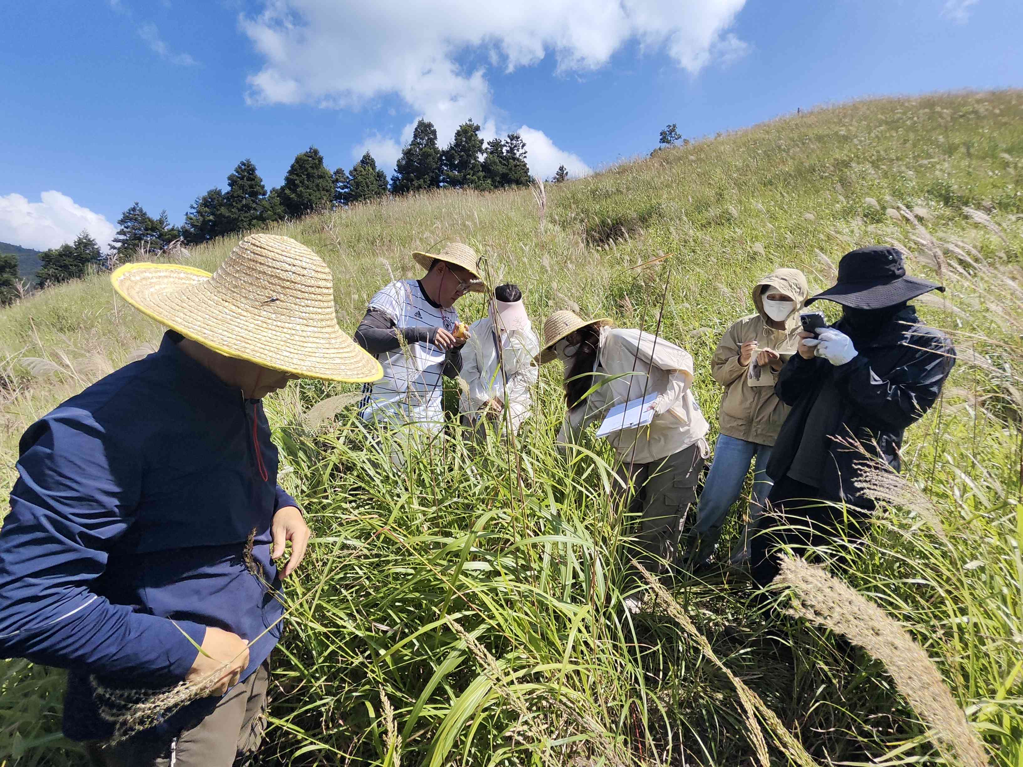 作風硬敢擔當，邊學邊干礪本領(lǐng)——邵陽監(jiān)測「鐵軍」奮戰(zhàn)高山草甸完成生態(tài)樣地監(jiān)測