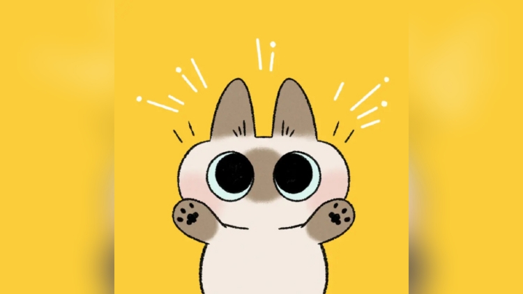 網(wǎng)紅漫畫貓形象「小豆泥」原型去世