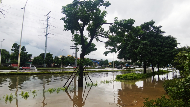 8月各種自然災害共造成全國1001.7萬人次不同程度受災