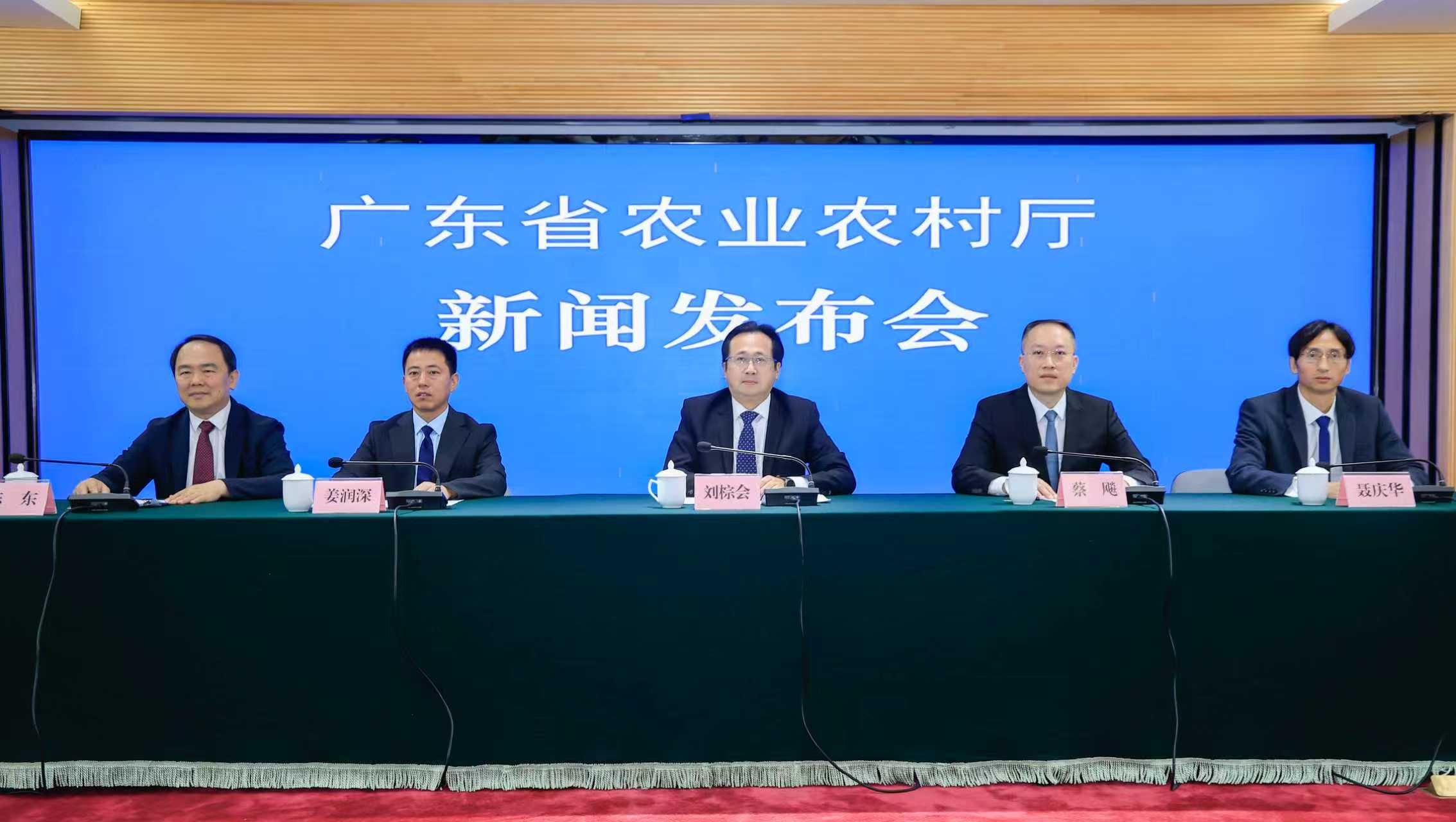  廣東農(nóng)業(yè)「粵強(qiáng)種芯」工程再取得突破 「廣弘3號(hào)」小白雞新品種亮相