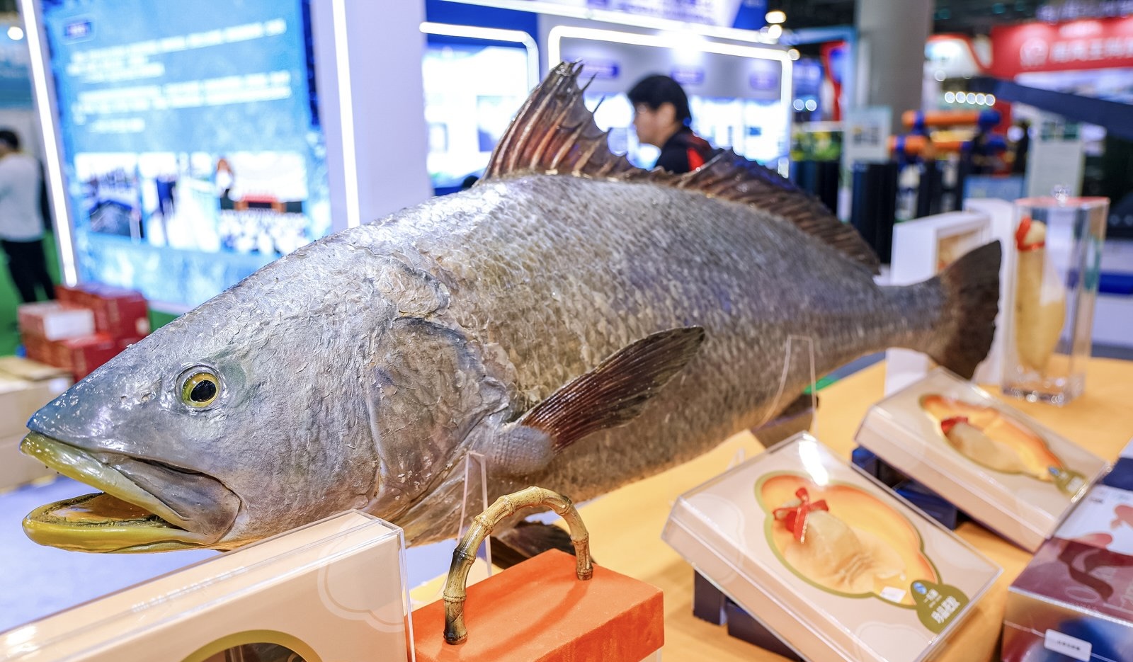  第11屆廣州國(guó)際漁業(yè)博覽會(huì)與2025年中國(guó)農(nóng)民豐收節(jié)海珠分會(huì)場(chǎng)同期舉行