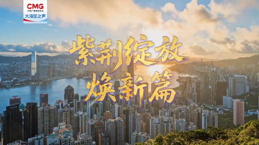 有片丨煥新出彩 香港奮進(jìn)前行！《紫荊綻放煥新篇》即將上線