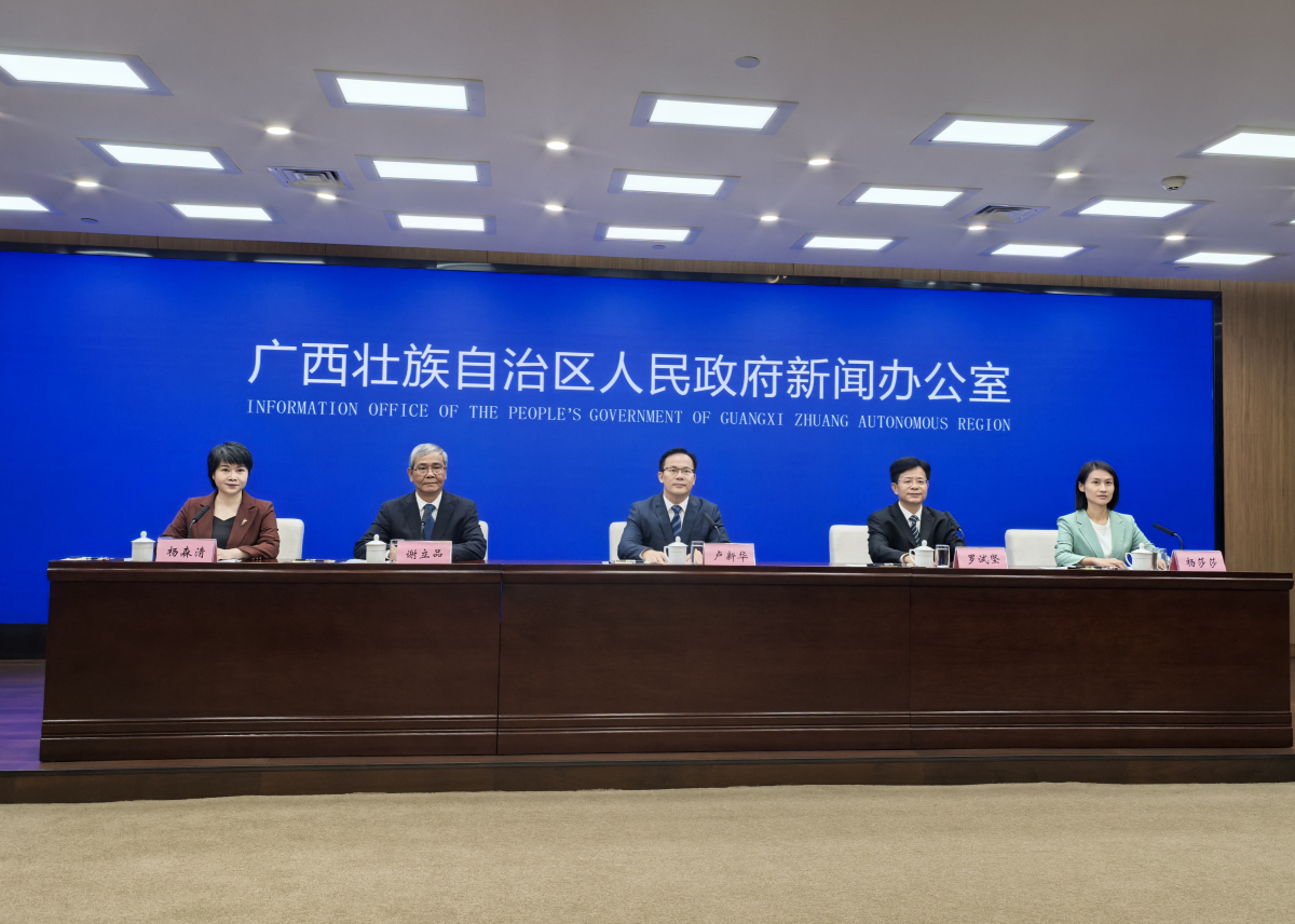 桂林打造世界級旅遊城市成效顯著  入境市場持續(xù)回暖