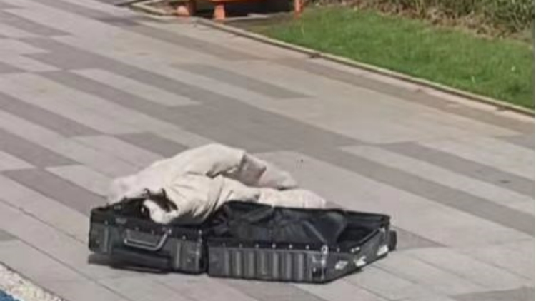 廣州女子43樓拋下行李箱，刑拘！