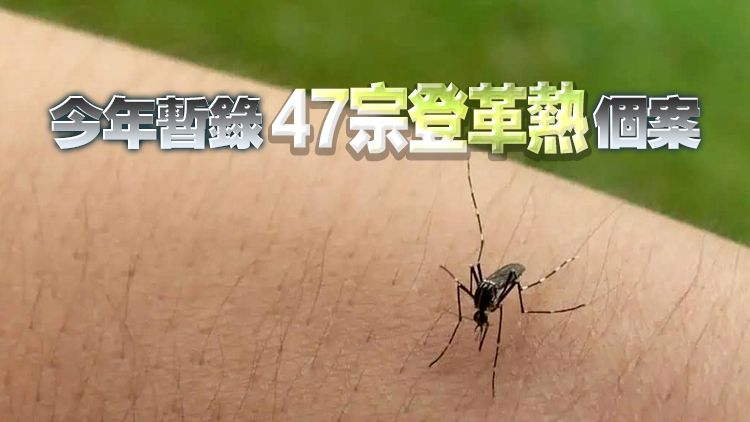 本港錄得3宗登革熱感染個(gè)案 病人潛伏期曾到印度