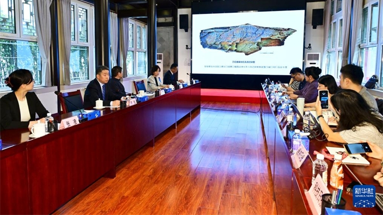 「秦始皇遣使採(cǎi)藥」崑崙石刻鑑定為真 定名「尕日塘秦刻石」