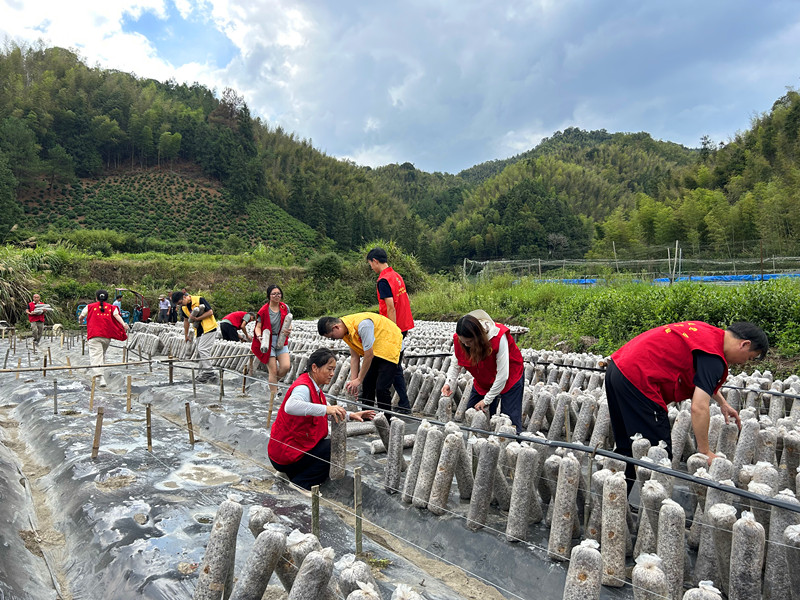 皖黟縣洪星：依託生態(tài)優(yōu)勢  多元化發(fā)展集體經(jīng)濟(jì)