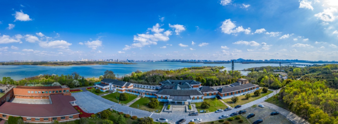 一手「王炸」！廬陽怎麼打？