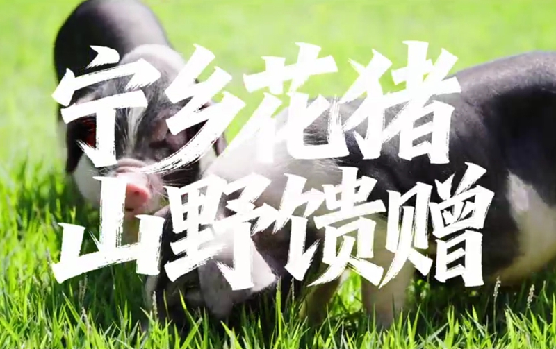 快樂長(zhǎng)沙 與寧鄉(xiāng)約 |山川風(fēng)流，歲月的味道