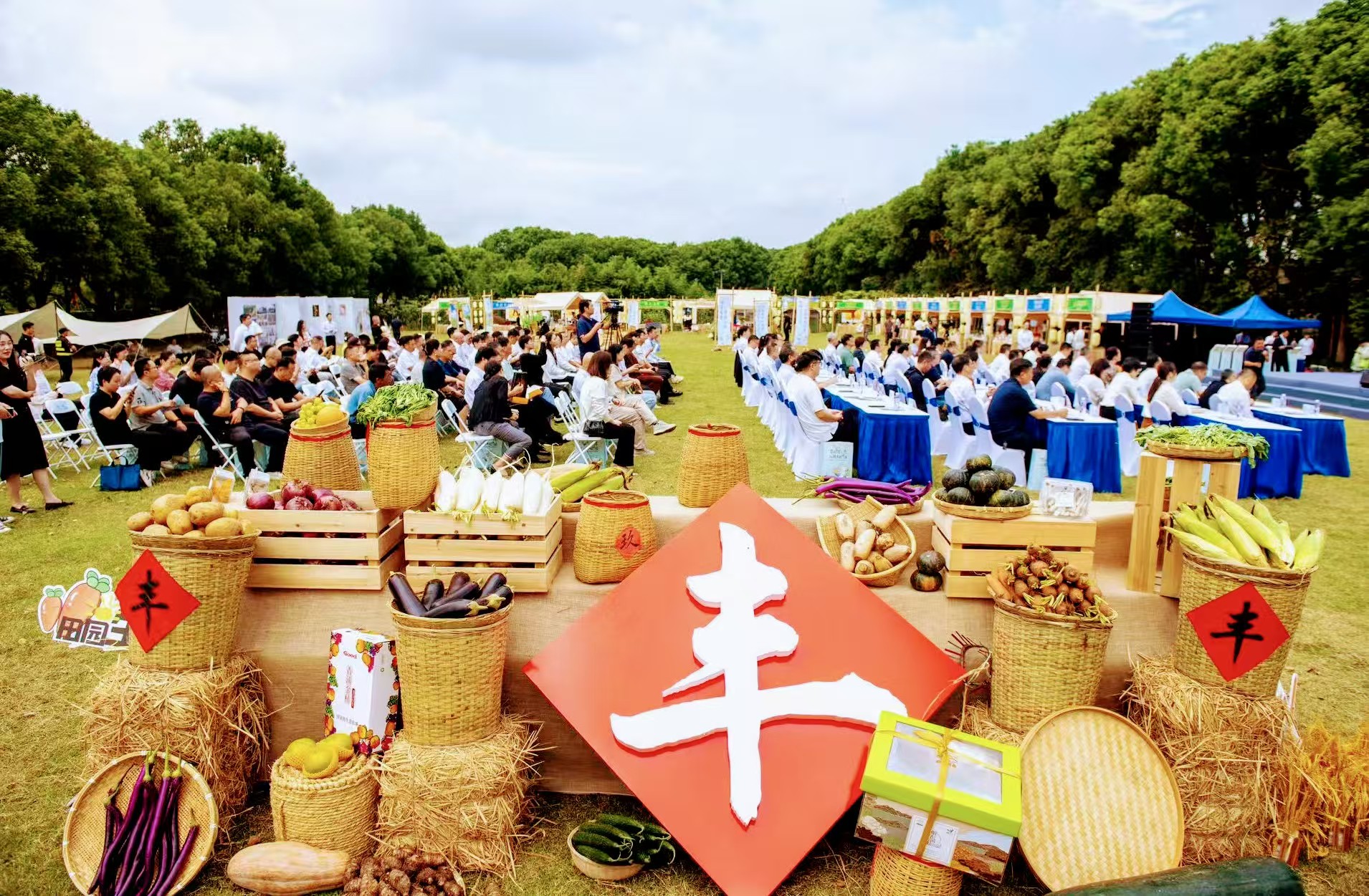  秋水映畫(huà)境  「趣」遊青浦「樂(lè)」在江南