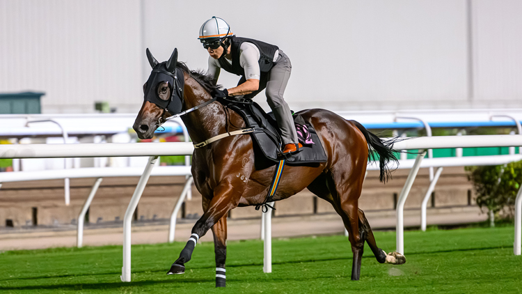 周日出發(fā)前往悉尼 希斯：嘉應(yīng)高昇享受星級(jí)待遇