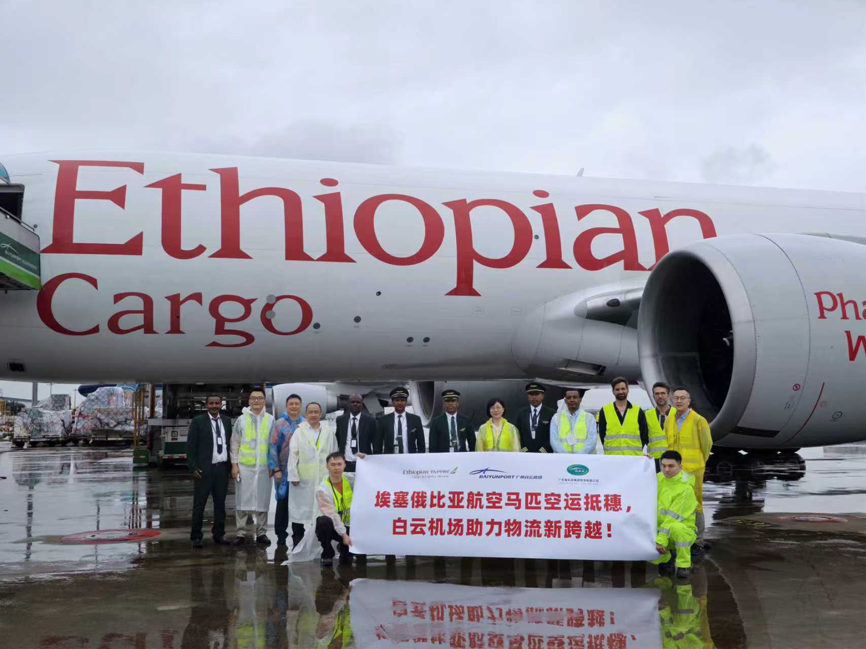 有片︱白雲(yún)機(jī)場(chǎng)助力埃塞俄比亞航空成功完成馬匹運(yùn)輸