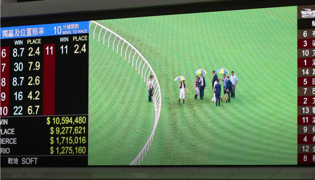 跑道受損賽事腰斬 馬會取消第九、十場賽事