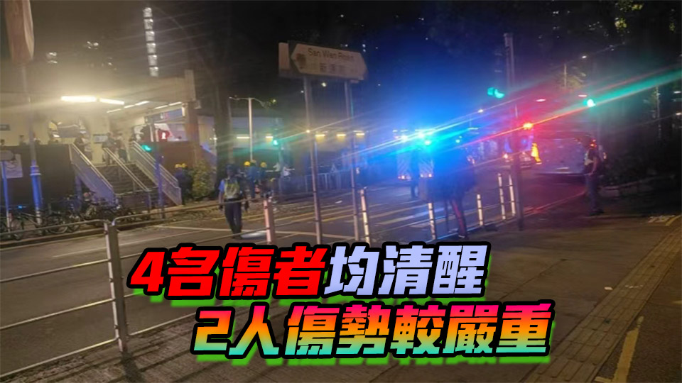 上水港鐵站外墮樹(shù)椏 4名男女遭擊中受傷