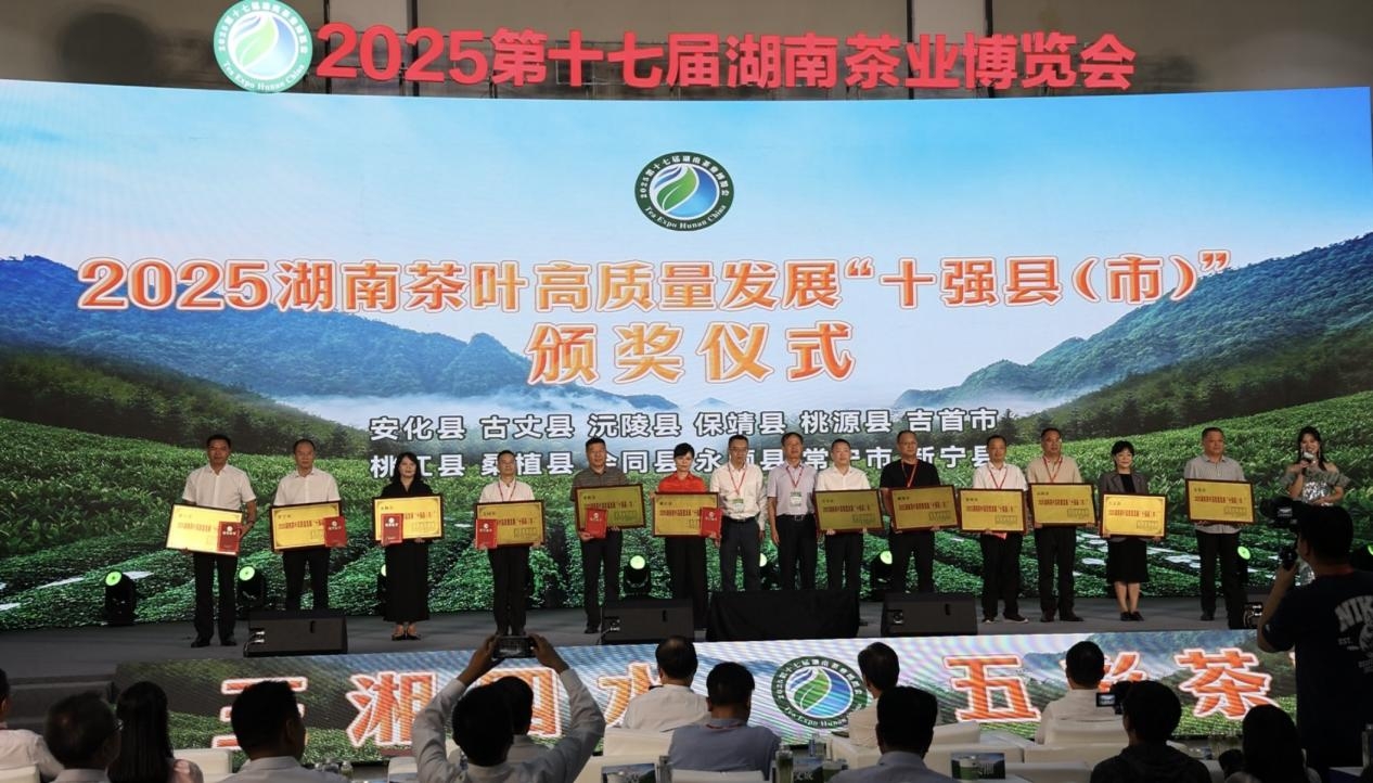 湖南新寧：茶博會上攬殊榮 一葉茶香向未來