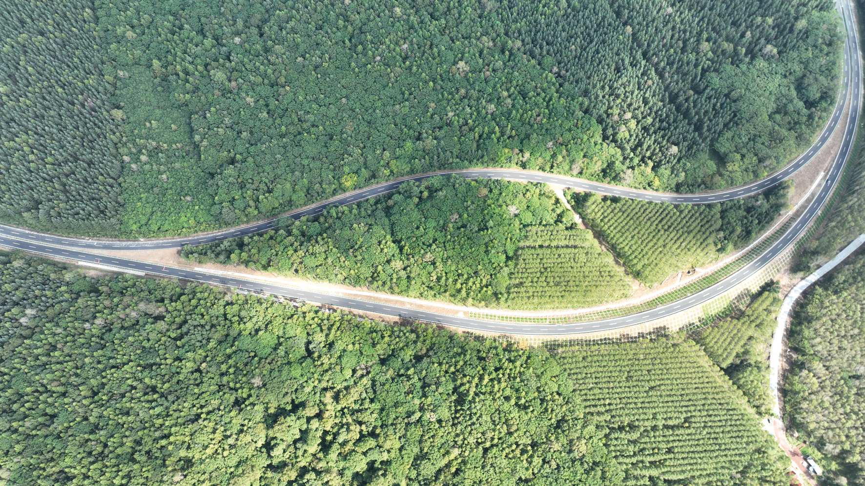 G331吉林段、沈白高鐵9月底即將開通  雙交通動(dòng)脈激活東北沿邊經(jīng)濟(jì)