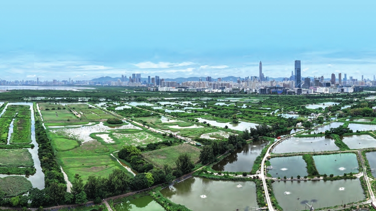 【熱門話題】提速北都發(fā)展 為港注新動能