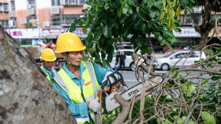 深圳市防颱風防汛緊急動員令（2025年1號）發(fā)布 實施「五?！? title=
