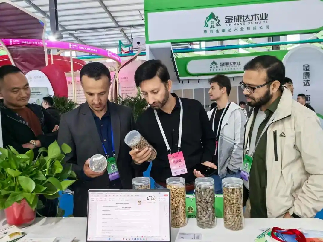 千億產(chǎn)值、遠銷百國：菏澤林業(yè)為什麼能成為全國行業(yè)「風向標」？