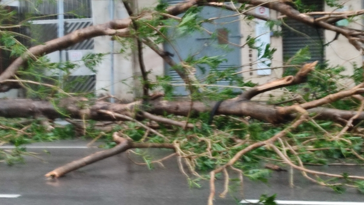 梁君彥：風(fēng)雨無(wú)阻 使命必達(dá) 齊心完成立法工作