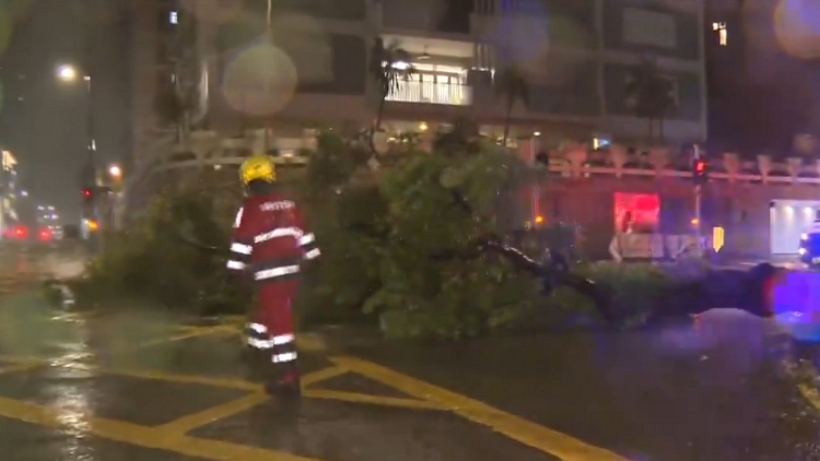 截至早上8時 本港19名市民在風(fēng)暴期間受傷