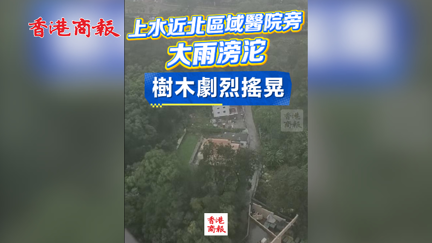 有片丨上水近北區(qū)醫(yī)院旁大雨滂沱 樹木劇烈搖晃