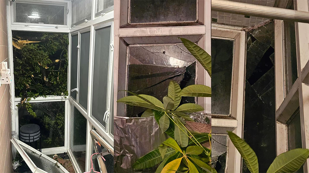 「樺加沙」肆虐全港 議員指多區(qū)出現(xiàn)塌樹及水浸