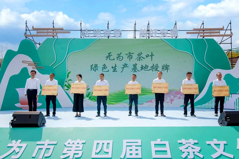 【皖美徽茶縣長(zhǎng)說(shuō)】無(wú)為市委常委、副市長(zhǎng)徐韜：「三鎮(zhèn)擎旗百園爭(zhēng)翠」 無(wú)為白茶振興正當(dāng)時(shí)