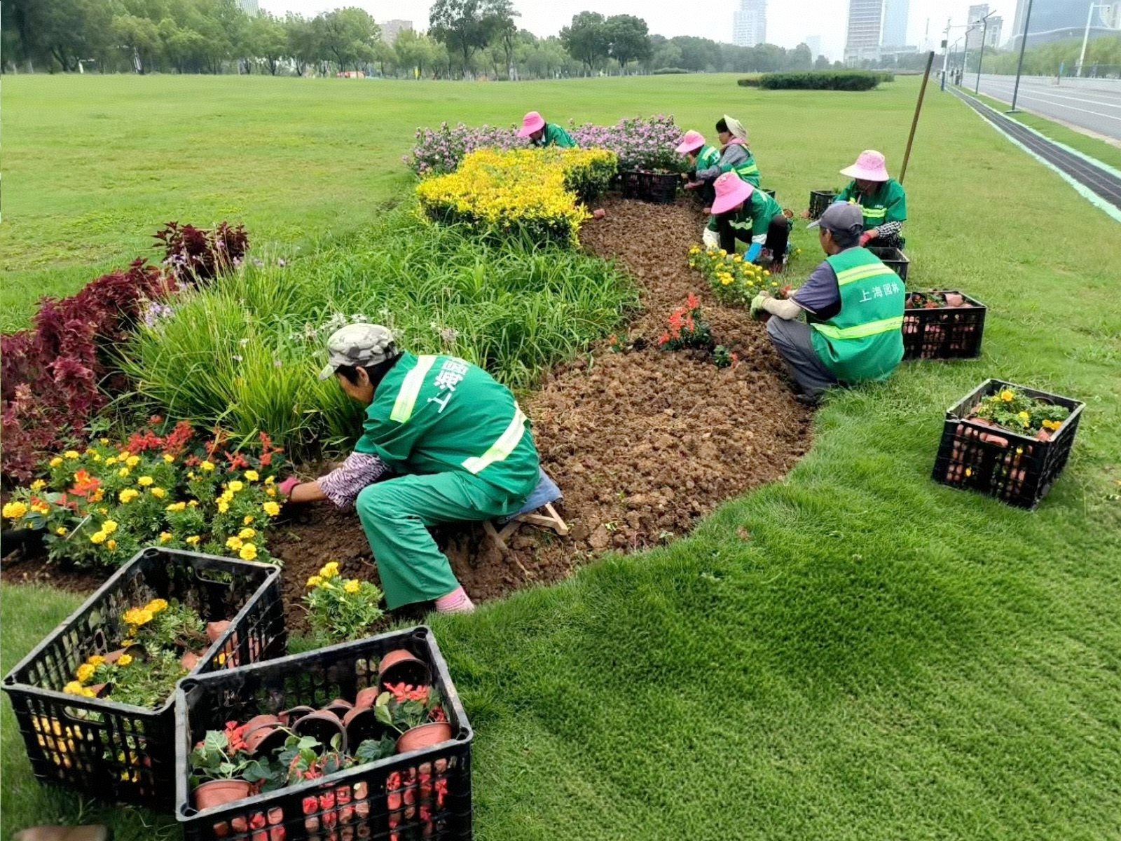 合肥高新區(qū)：秋季補植「煥新」城市「顏值」