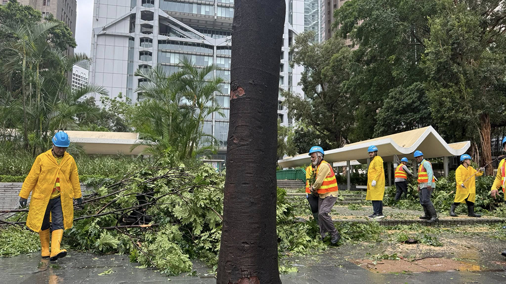 江玉歡：極端天氣香港「頂?shù)米　? title=