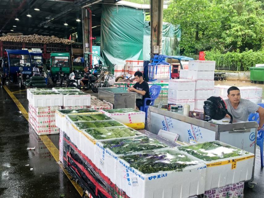 颱風過後復工保供，深農(nóng)集團海吉星供應足價格穩(wěn)