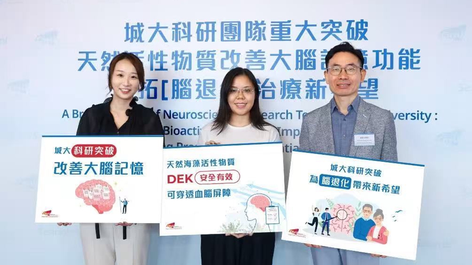 城大研究發(fā)現(xiàn)「海藻多酚」中Dieckorin有助神經(jīng)修復(fù) 提升記憶力