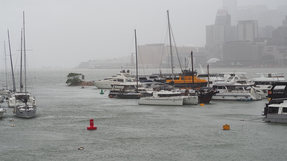 9·26起受樺加沙影響農(nóng)戶、養(yǎng)魚戶及漁民可申請緊急救援基金