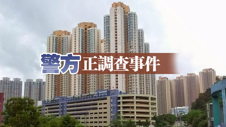 將軍澳七旬?huà)D倒斃家中 獨(dú)居廿載惡臭揭發(fā)屍身腐化