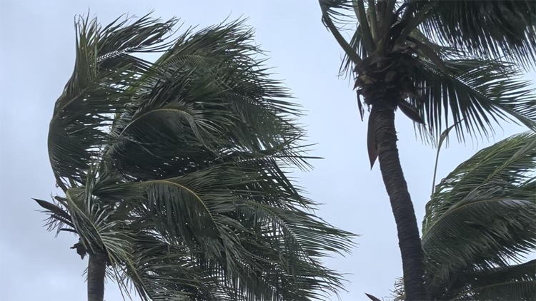 受颱風(fēng)影響 三亞鳳凰國際機(jī)場9時(shí)起暫停航班起降