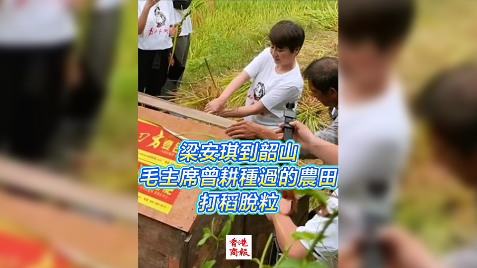 有片 | 梁安琪到韶山毛主席曾耕種過的農(nóng)田 打稻脫粒