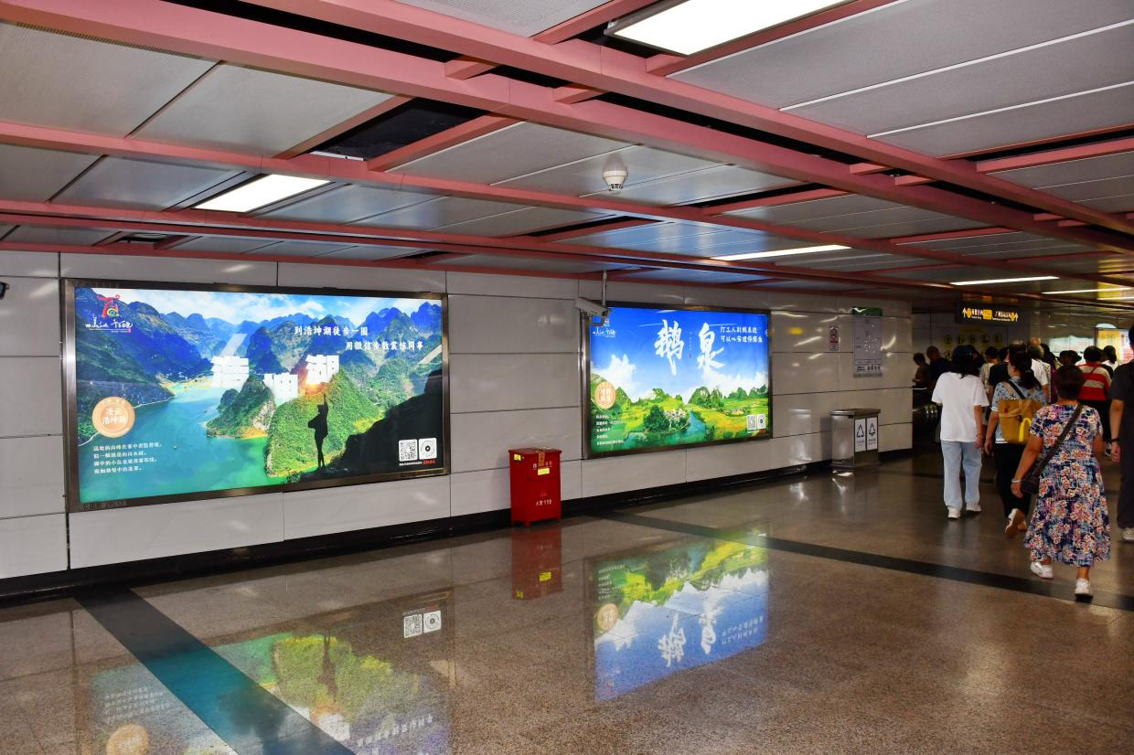 百色帶著它的「千姿百態(tài)」走進了粵港澳大灣區(qū)都市圈