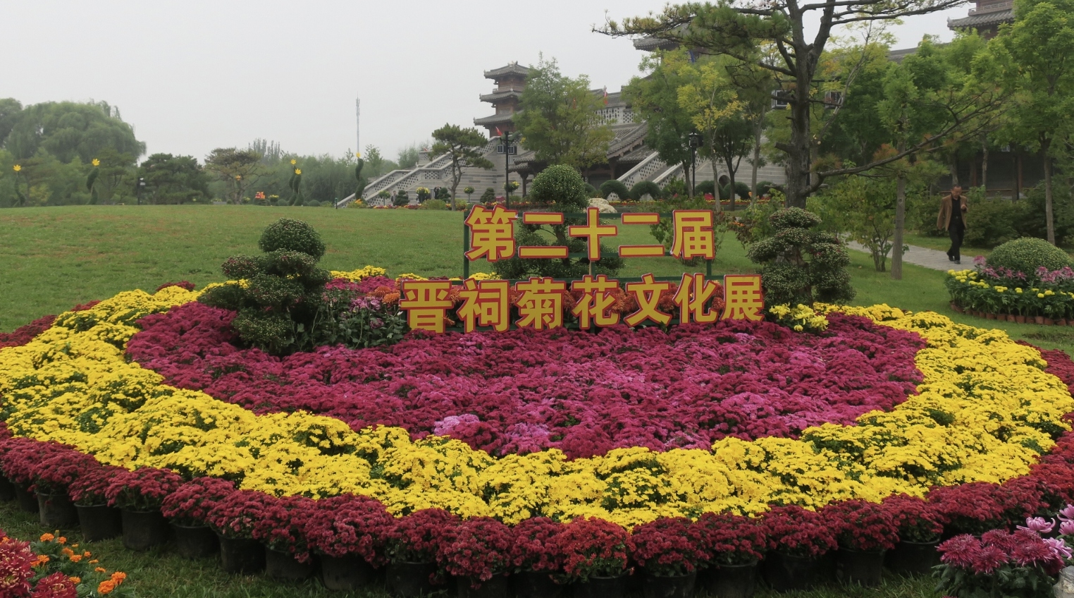 賞菊品史！山西太原晉祠菊展邀你赴千年文化之約