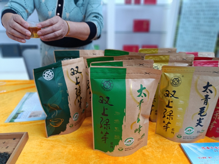 澧縣「太青雙上綠芽茶」：千年貢茶續(xù)寫輝煌