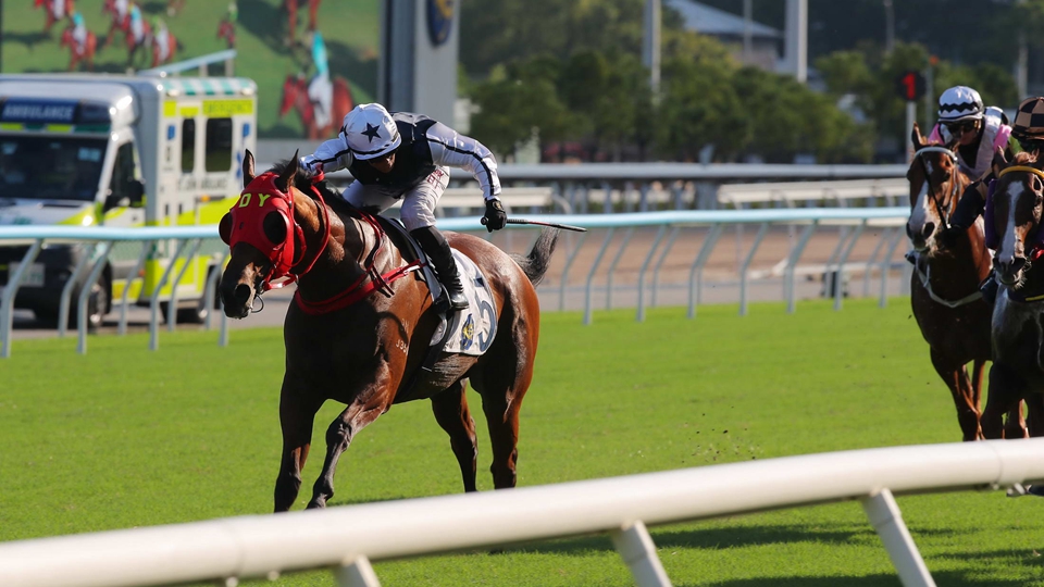 有片｜巴度主動(dòng)索騎開心建功 舉步生風(fēng)捧國慶盃 葉楚航開齋