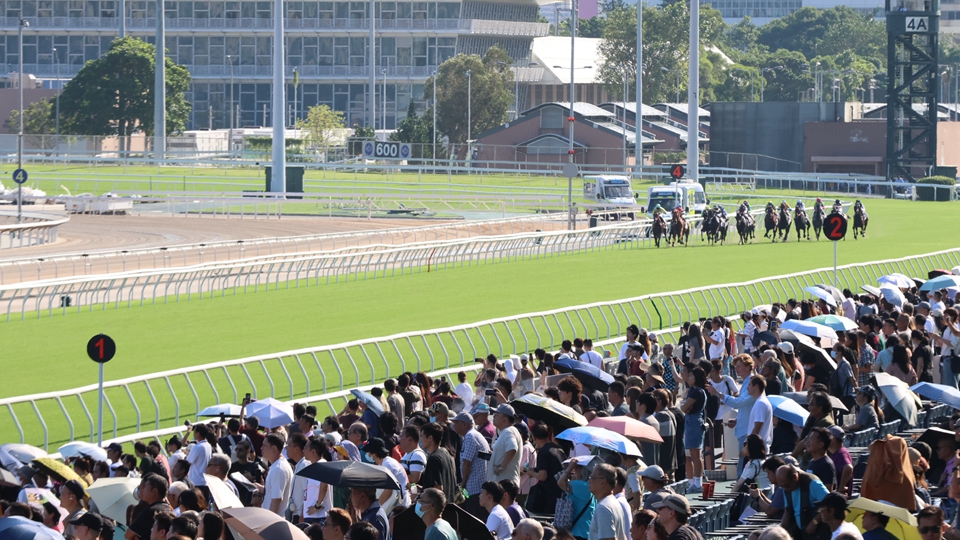國慶賽馬日丁財兩旺 1.3萬旅客進(jìn)場創(chuàng)新高 投注額逾15.6億