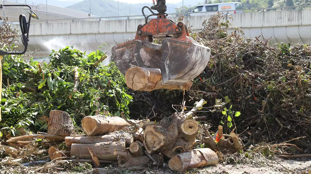 環(huán)保署：回收颱風(fēng)塌樹 轉(zhuǎn)化為再生產(chǎn)品