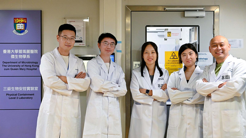 港大醫(yī)學(xué)院開發(fā)強(qiáng)效新型口服雙效抑制劑 對抗多種冠狀病毒