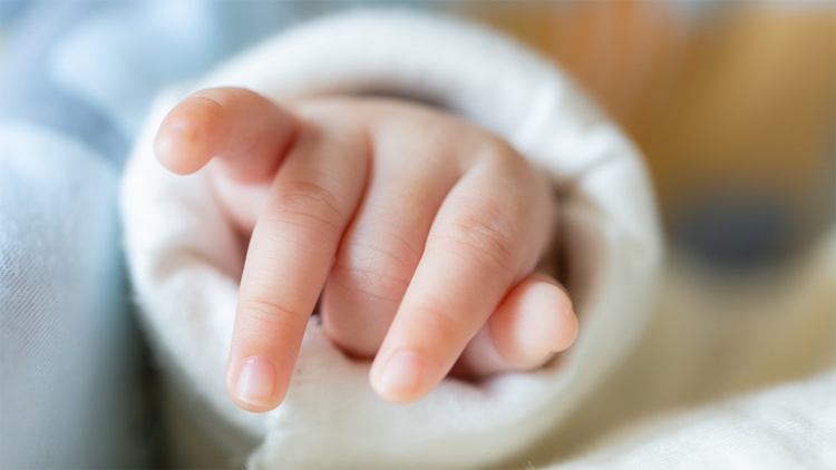 國家衛(wèi)健委：全國累計提交2881.4萬條育兒補貼申報信息