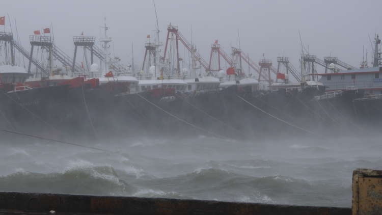 國家防減救災(zāi)委對廣東海南啟動國家四級救災(zāi)應(yīng)急響應(yīng)