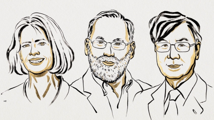 美日三名學(xué)者獲諾貝爾醫(yī)學(xué)獎(jiǎng) 表?yè)P(yáng)研究外周免疫耐受